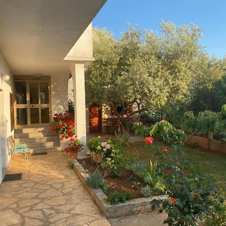 Apartment Nina Zadar Exteriér fotografie